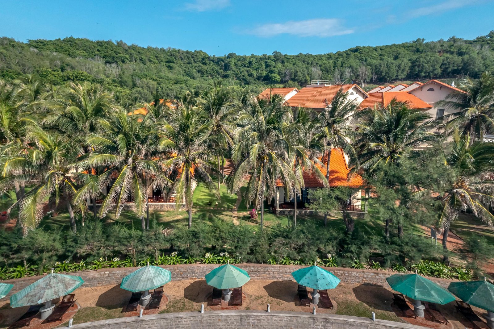 Aerial view of a tropical resort with palm trees and sun umbrellas, perfect for summer vacations. Choose Between All-Inclusive and Independent Travel
