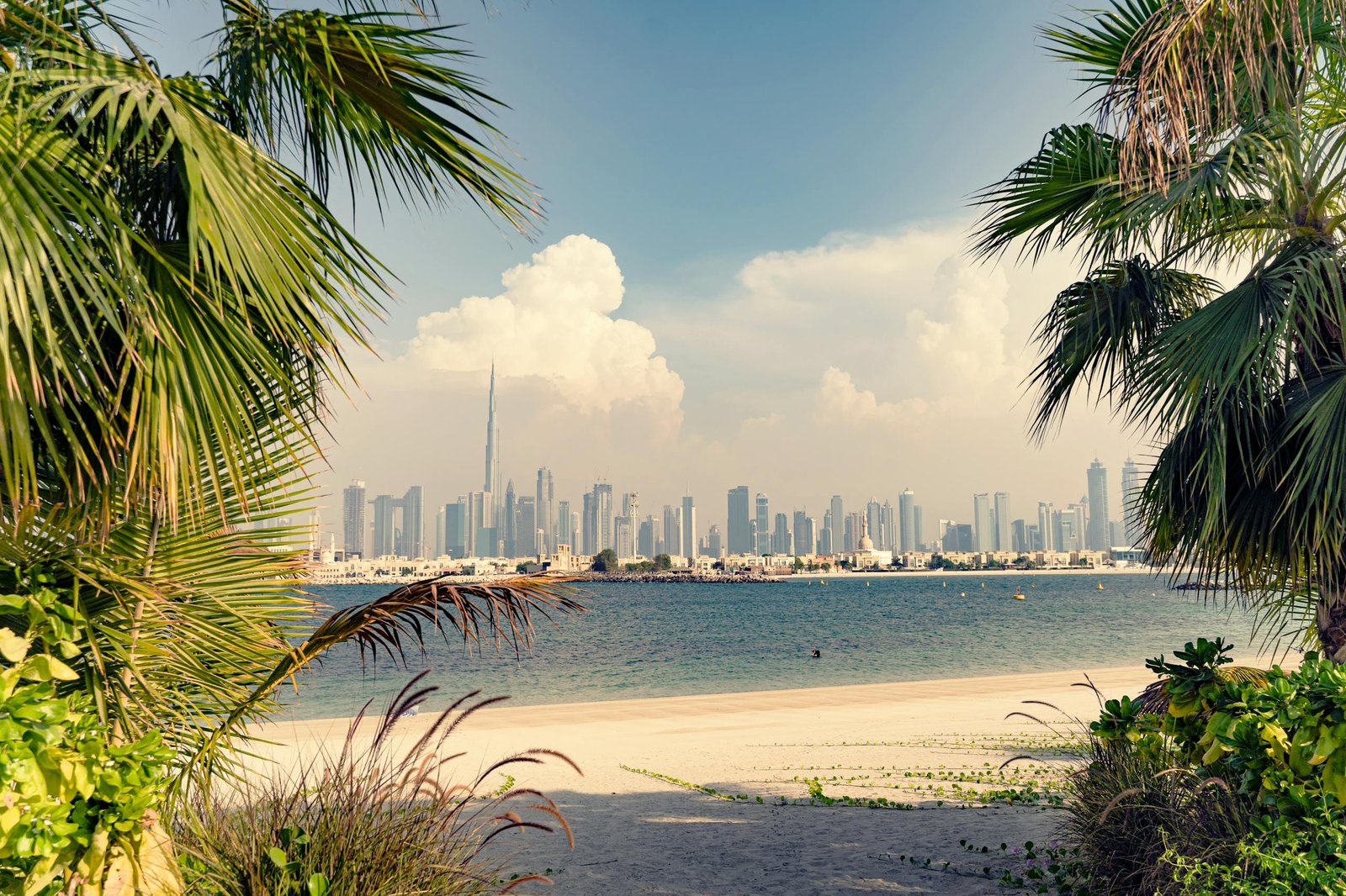 Explore Dubai's iconic skyline from a scenic beach with lush palm trees framing the view.