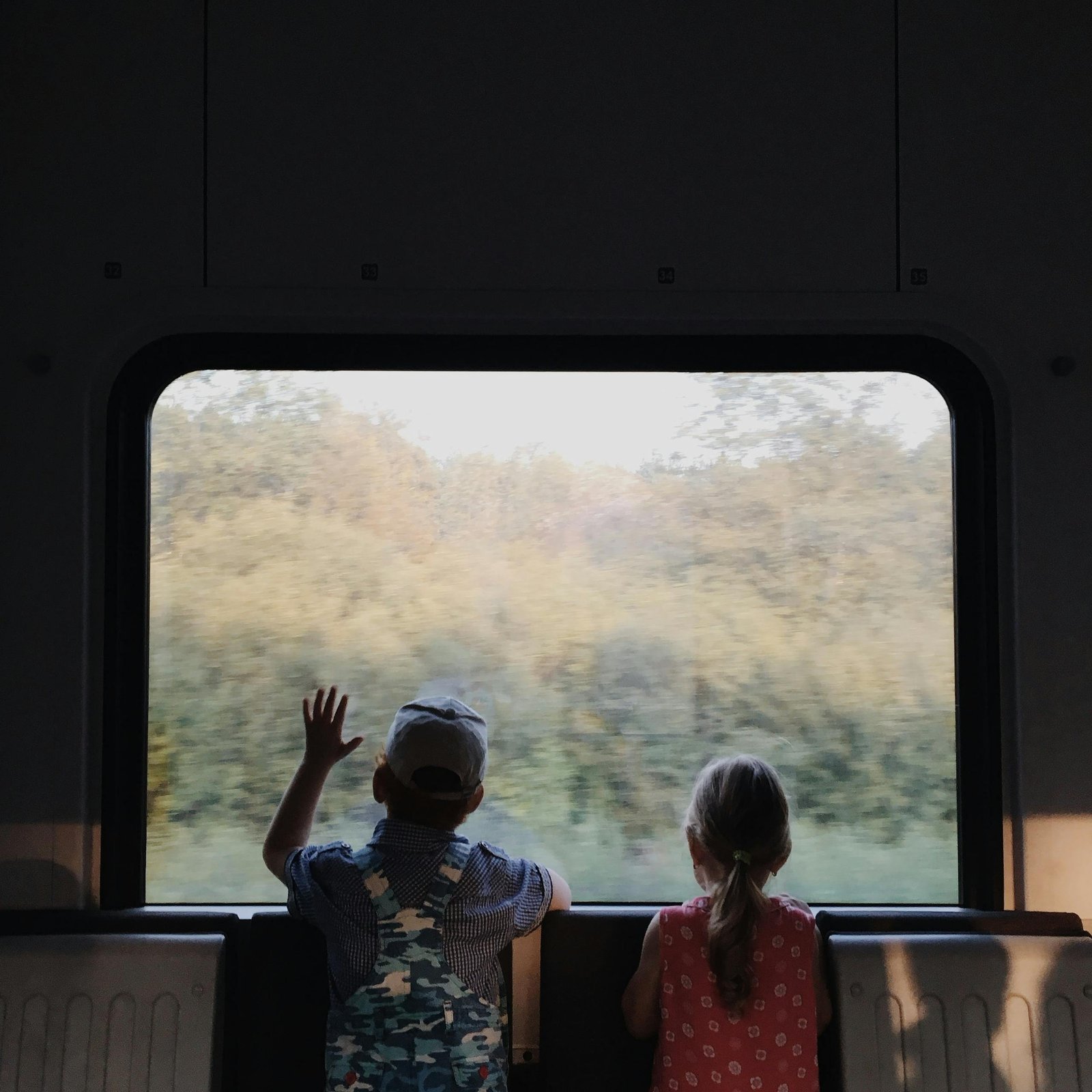 Two children gaze outside a train window, enjoying a journey through the Belarusian countryside. - kids travel