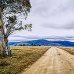 Open dirt road leading through vast fields toward distant mountains under cloudy skies.