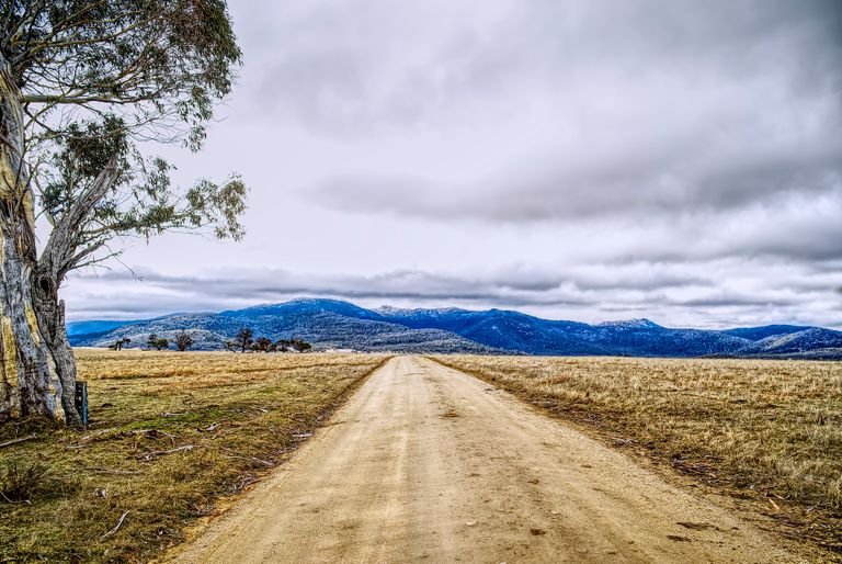 Open dirt road leading through vast fields toward distant mountains under cloudy skies.